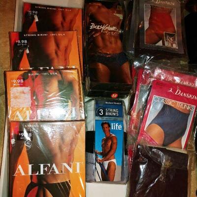 Lot of new silk men's bikinis & Dancer's trunks 
