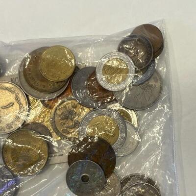 Lot 102 - Lot of 48 foreign coins