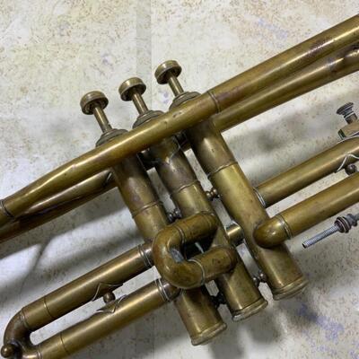 -151- Sad Trumpet Needs Loving Home