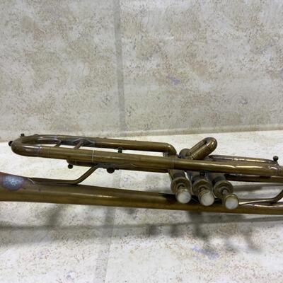 -151- Sad Trumpet Needs Loving Home