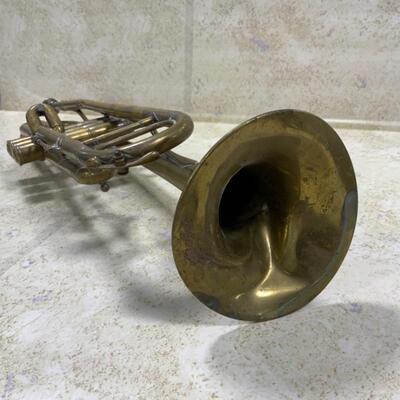 -151- Sad Trumpet Needs Loving Home