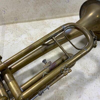 -151- Sad Trumpet Needs Loving Home