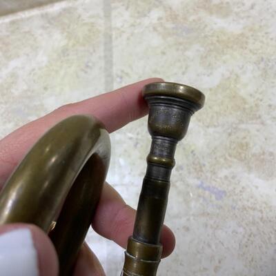 -151- Sad Trumpet Needs Loving Home