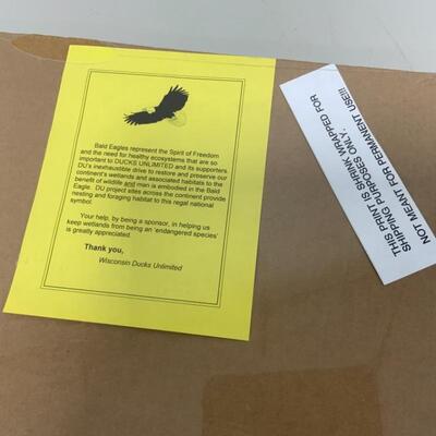 -157- â€œHeadwaters Eagleâ€ Print | Scott Zoellick | 708/6250