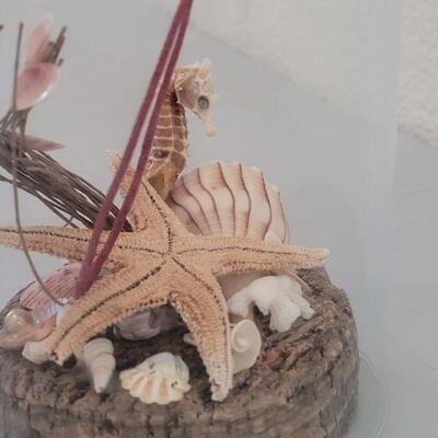 Lot 175: Seahorse, Starfish & Shell Deco with a Removable Dome