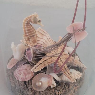 Lot 175: Seahorse, Starfish & Shell Deco with a Removable Dome