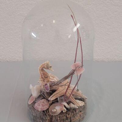 Lot 175: Seahorse, Starfish & Shell Deco with a Removable Dome
