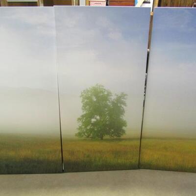 Triptych on Canvas- Each Panel Measures 24