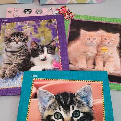 Lot 236: School Supplies Lot