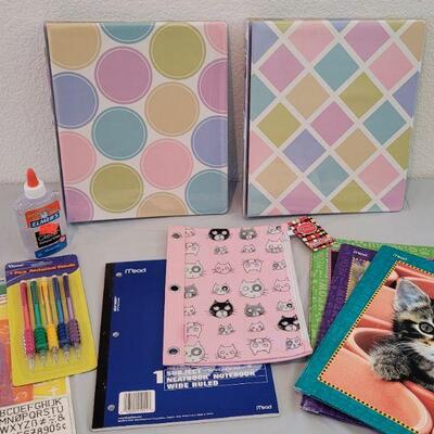 Lot 236: School Supplies Lot