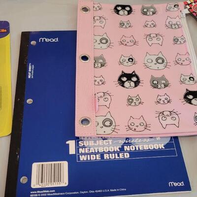Lot 236: School Supplies Lot