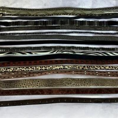 C111 - Group of 18 Various Women's Belts