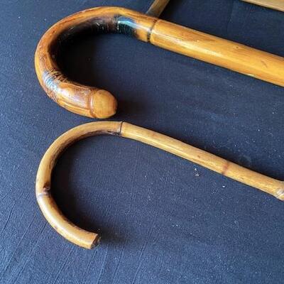 LOT#T45: Cane Lot #2