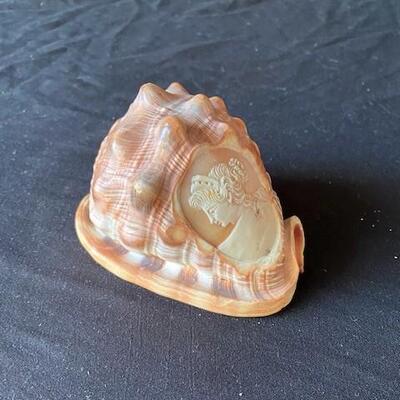 LOT#L87: Carved Bullmouth Shell