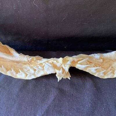 LOT#W123: SevenGill Shark Jaw