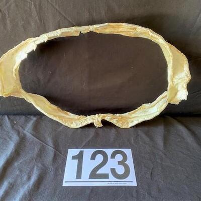 LOT#W123: SevenGill Shark Jaw