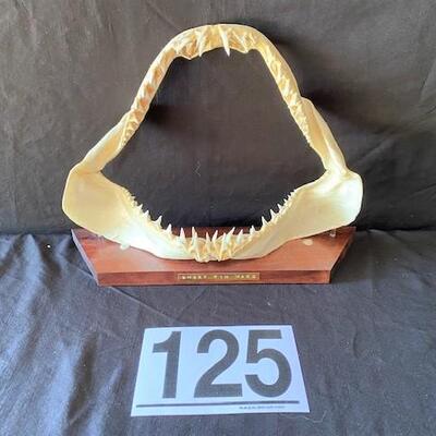 LOT#W125: Short Fin Mako Shark Jaw