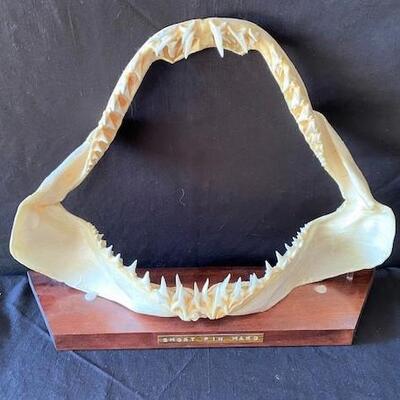 LOT#W125: Short Fin Mako Shark Jaw