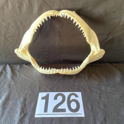 LOT#W126: Black Tip Shark Jaw