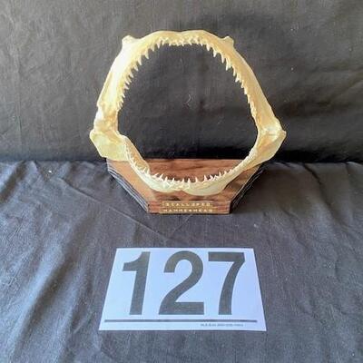 LOT#W127: Scalloped Hammerhead Shark Jaw