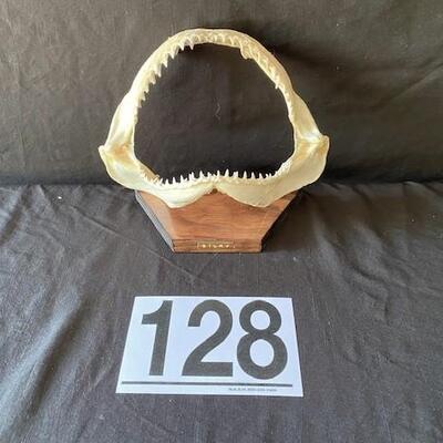 LOT#W128: Silky Shark Jaw