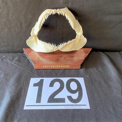 LOT#W129: Snaggletooth Shark Jaw