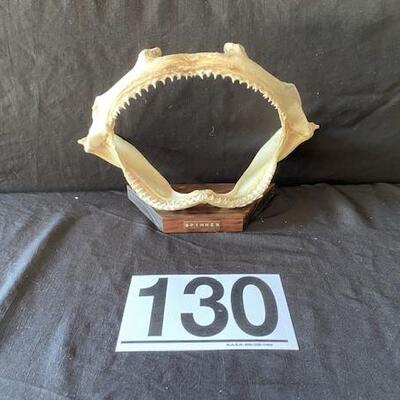 LOT#W130: Spinner Shark Jaw