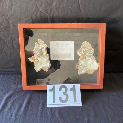 LOT#W131: Agatized Coral