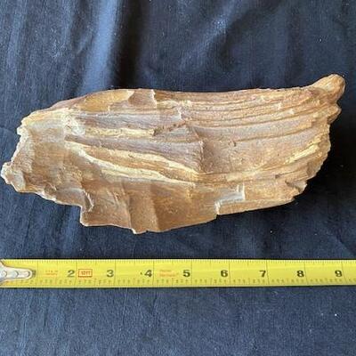 LOT#W134: Believed to be Petrified Wood Lot #1