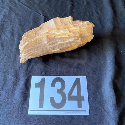 LOT#W134: Believed to be Petrified Wood Lot #1