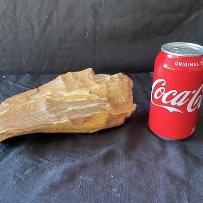 LOT#W134: Believed to be Petrified Wood Lot #1