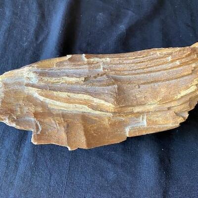 LOT#W134: Believed to be Petrified Wood Lot #1