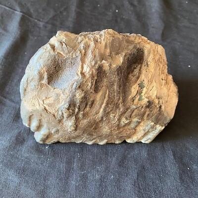 LOT#W138: Believed to be Petrified Wood Lot #2