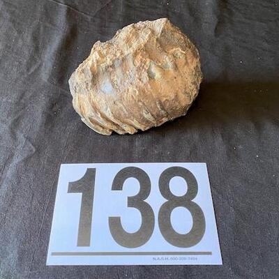 LOT#W138: Believed to be Petrified Wood Lot #2