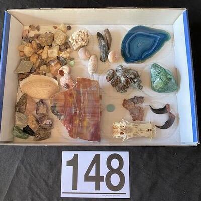 LOT#W148: Assorted Fossil & Rock Lot #1