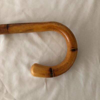 Lot 31 - Trio of Canes