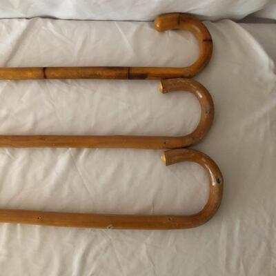 Lot 31 - Trio of Canes