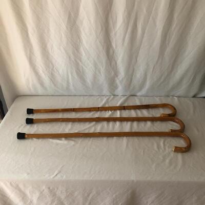 Lot 31 - Trio of Canes
