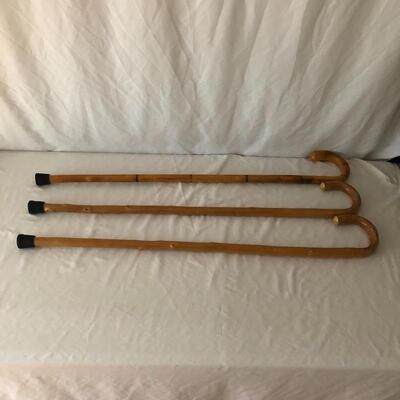 Lot 31 - Trio of Canes