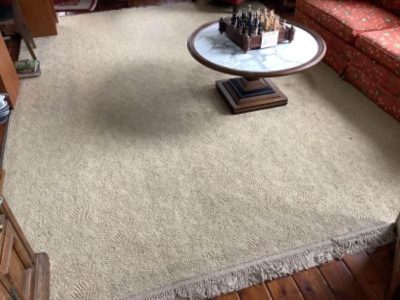 2436 Large Cream Colored Area Rug