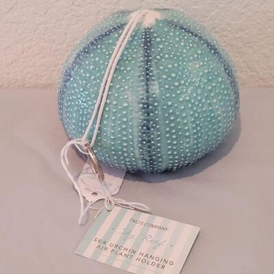 Lot 117: (2) New Sea Urchin Air Plant Holders and Maui Dolphin Candle holder 