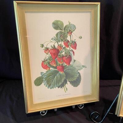 Lot 77 - Strawberries & Pears
