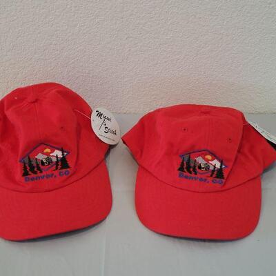 Lot 176: (2) Denver Hats