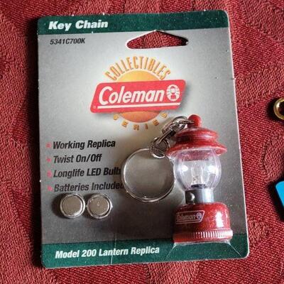 Lot 359: Key Chain Lot