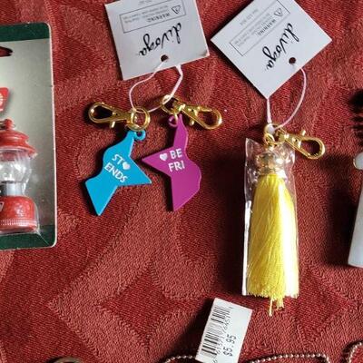 Lot 359: Key Chain Lot