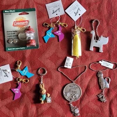 Lot 359: Key Chain Lot