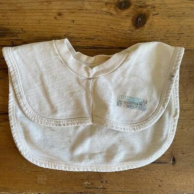 Disney Cruisline Kid Hoodie and Wyoming bib
