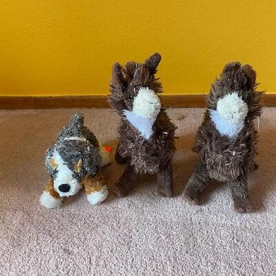 2 Llamas & a Dog