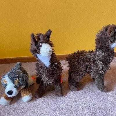 2 Llamas & a Dog