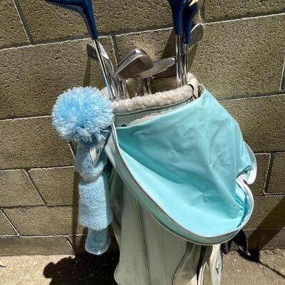 Lot 185. Vintage Spaulding Ladies Golf Clubs & Bag